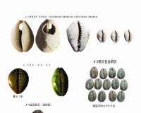 远古货币拾遗(图)