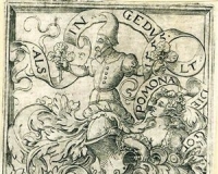 植入风景的西方藏书票