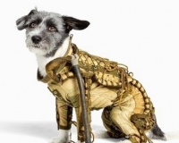 前苏联太空狗宇航服在德拍卖(图)