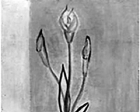 常玉唯一海芋主题画作上拍