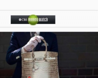 爱马仕鳄鱼皮镶钻手包拍出18.5万美元最高价