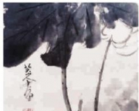 黭ϲӭź