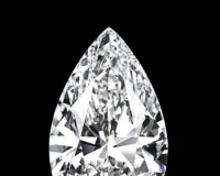 海瑞温斯顿购得101克拉钻石