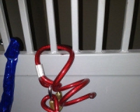 纽约华人拍卖公司遭盗窃:丢失逾50万元古董