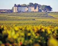 买下法国波尔多酒庄的中国人