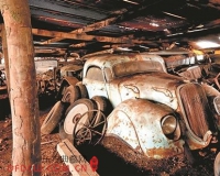 法国农场发现60辆古董车:价值千万美元