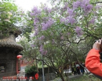 �������ٰ춡���ͻ�չ ��ʮ�����˹������Ʒ����