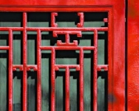 故宫微博团队:正策划让故宫人讲故宫猫的故事