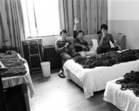 卖家租数十间客房当铺面:床上堆卖花梨木