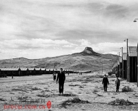 该不该出售:一段美国的灰暗史