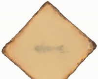 忘形:陈淑霞作品展将举办