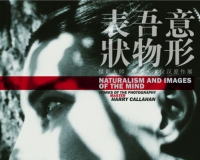 希帕画廊举办哈里·卡拉汉原作展