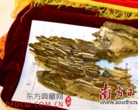 名贵沉香入药:行气止痛助眠