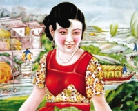 疯狂核桃抵不过美丽淑女(图)