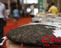 普洱茶价格腰斩藏茶异军突起:东莞茶市格局变化