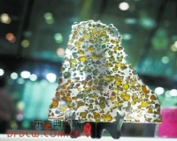 奇珍异宝聚郴州