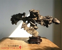 文玩盆景成收藏界新贵