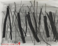 东方与西方的碰撞:谭平对话卡斯特利