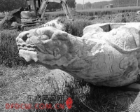 30吨汉白玉王八驮石碑出土 距今300多年