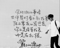 花儿与少年第二季井柏然字体卖百万元