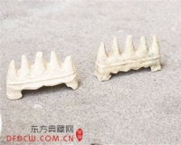 漳窑遗址典型代表:华安东溪窑