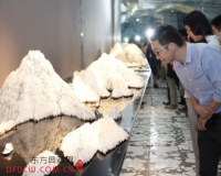 云山决:邹操艺术作品展开幕(图)