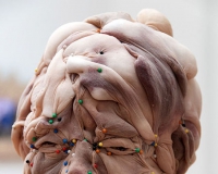 荷兰艺术家用二手丝袜创作怪诞人像