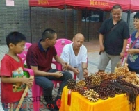 海口东湖古玩街被取缔 千名古玩商户去哪了