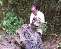 出门寻鹅绊一跤:绊出两千年前阴沉木