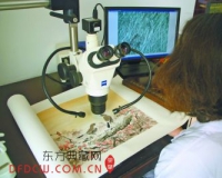 专用纸能否成假画防火墙