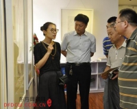 空性自然:王璐个人作品展举办